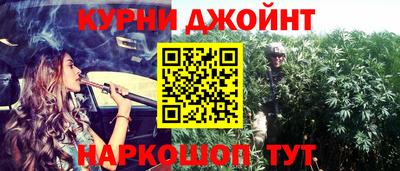 мяу мяу мука Нальчик