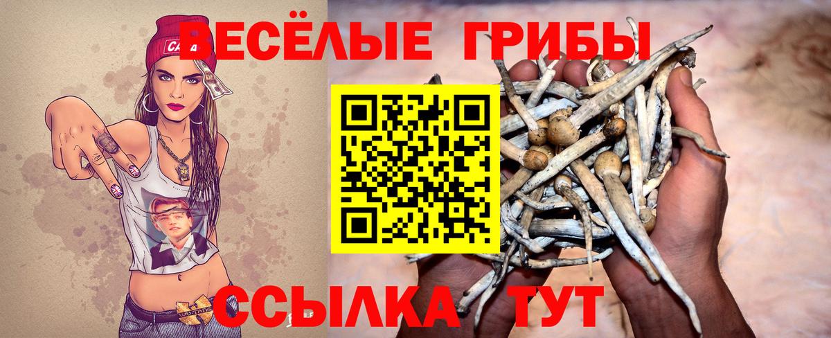 Псилоцибиновые грибы Psilocybe  Псилоцибиновые грибы прущие грибы  Вход с VPN  Урус-Мартан 